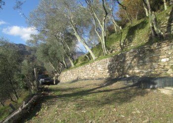 Independent house Borzonasca - photo 47