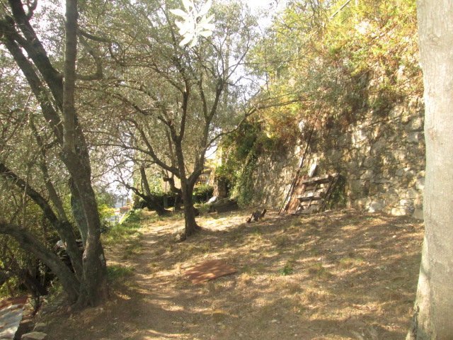 Apartment Genova - photo 3