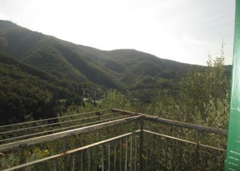 Appartamento Genova - foto 8
