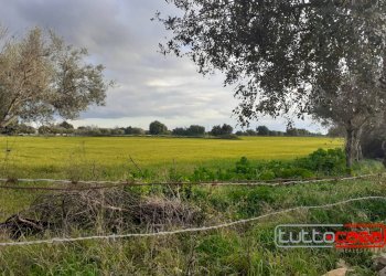 Agriturismo CONTRADA GUADAGNA, Scicli - photo 5