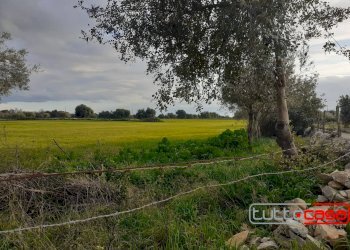 Agriturismo CONTRADA GUADAGNA, Scicli - photo 6