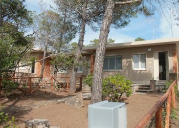 Trilocale Via Marco Polo 8, Castagneto Carducci - foto 22