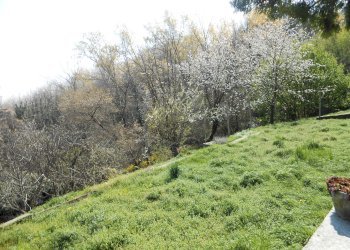 giardino - Appartamento in Villa Castelnuovo Don Bosco - foto 12