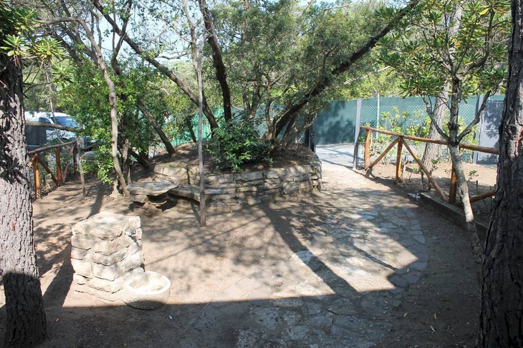 Trilocale Via Marco Polo 8, Castagneto Carducci - foto 2