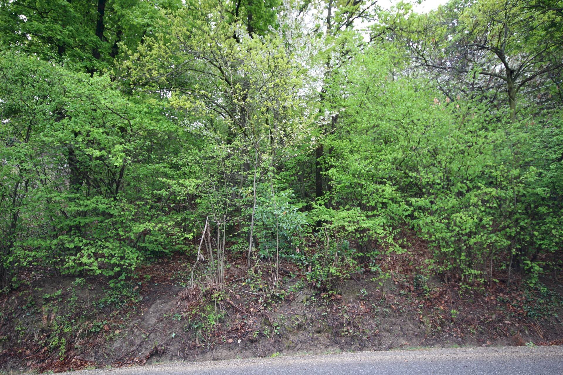 Terreno edificabile Strada Moncalvo, Moncalieri - foto 1