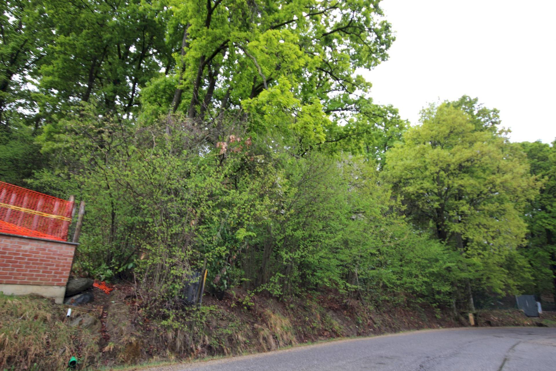 Terreno edificabile Strada Moncalvo, Moncalieri - foto 2