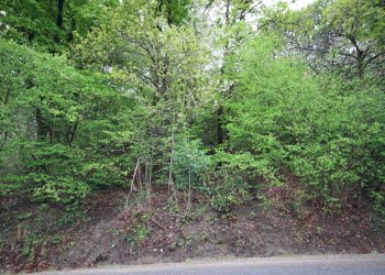 Terreno edificabile Strada Moncalvo, Moncalieri - foto 1