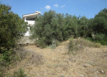 Terreno edificabile Statte - foto 5