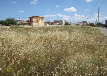 Feliciolla - Terreno edificabile Statte - foto 9