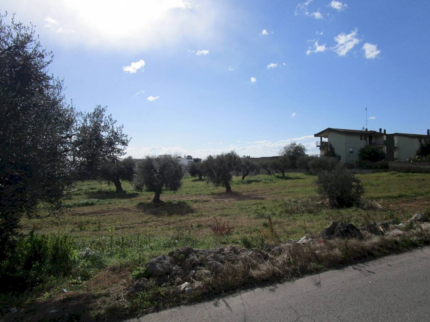 Terreno edificabile via Carlo Farina, Statte - foto 3