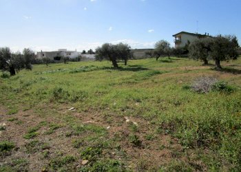 Terreno edificabile via Carlo Farina, Statte - foto 4