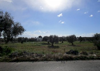 Terreno edificabile via Carlo Farina, Statte - foto 5