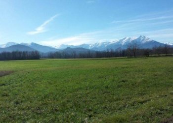 Terreno edificabile Villanova Mondovì - foto 2