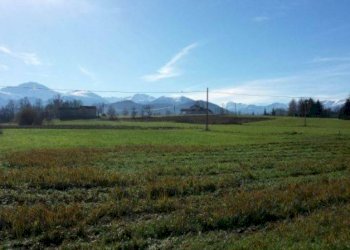 Terreno edificabile Villanova Mondovì - foto 3