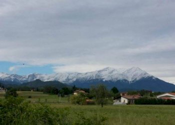 Terreno edificabile Villanova Mondovì - foto 5