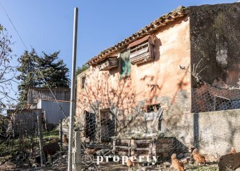 Rustico C.da San Rustico, Ripatransone - foto 10