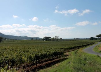 Bilocale Loc. Cerreta 57, Castagneto Carducci - foto 20