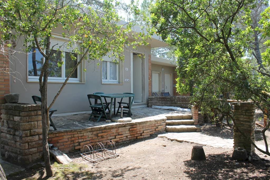 Three-room apartment Via Marco Polo 8, Castagneto Carducci - photo 1