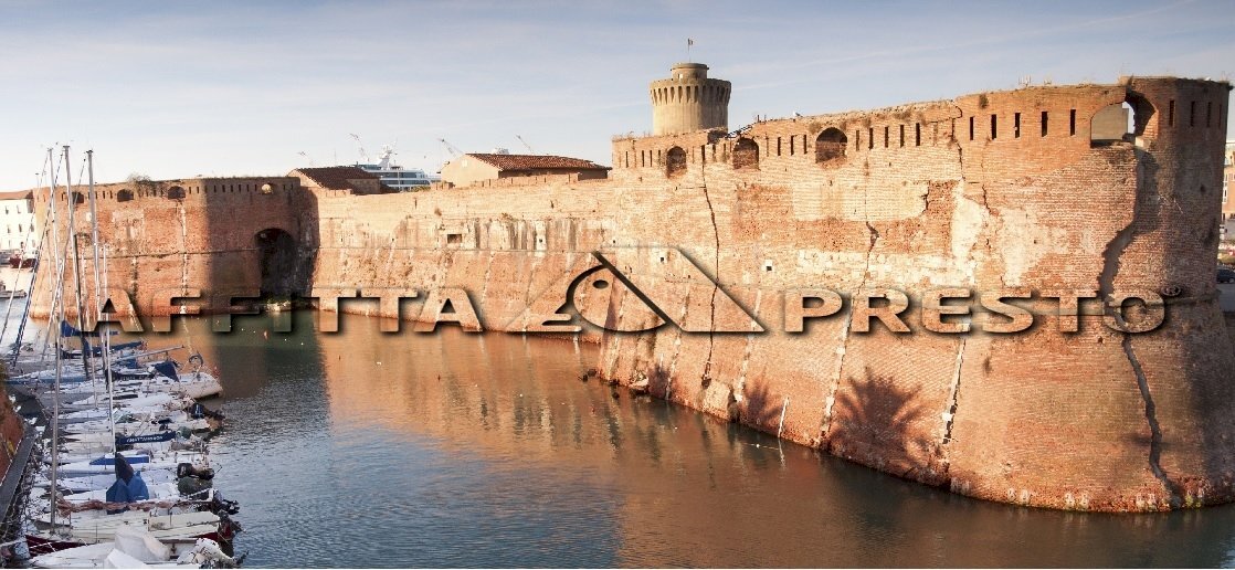 Commercial Activity Livorno - photo 1