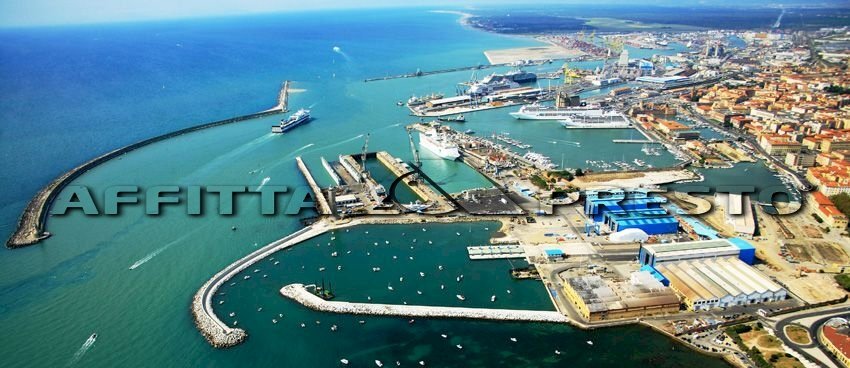 Commercial Activity Livorno - photo 3