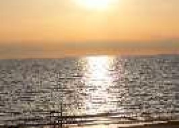 Bilocale Via Del Tirreno 12, Castagneto Carducci - foto 10