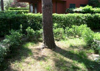 Trilocale Via Modena 67, Castagneto Carducci - foto 20