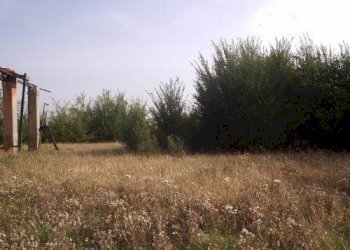 Rustico Castel San Pietro Terme - foto 5