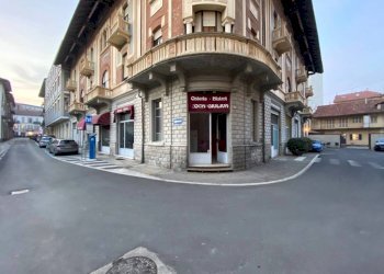 Shop Alba - photo 15