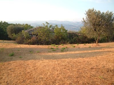 Terreno agricolo strada provinciale, Controguerra - foto 2