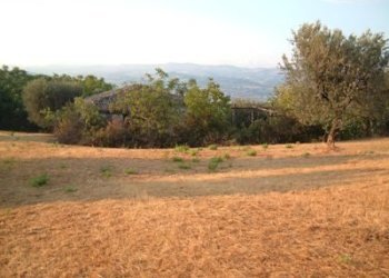 Terreno agricolo strada provinciale, Controguerra - foto 2
