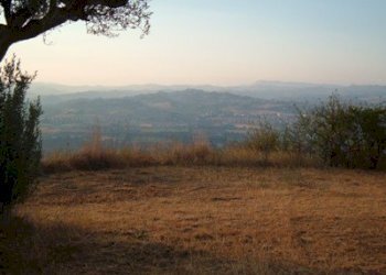 Terreno agricolo strada provinciale, Controguerra - foto 13