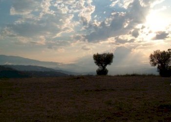 Terreno agricolo strada provinciale, Controguerra - foto 14