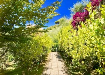 le21.jpg - Appartamento Lerici - foto 21