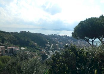 DSCN2767.JPG - Appartamento Lerici - foto 11