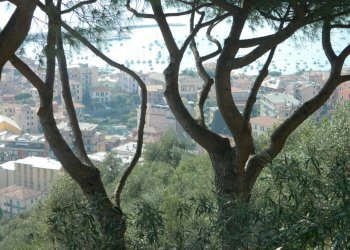 DSCN2768.JPG - Appartamento Lerici - foto 12