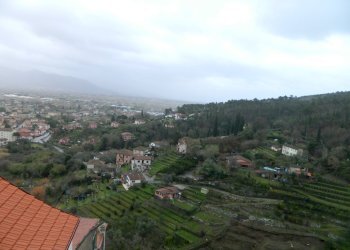 DSCN9915.JPG - Appartamento Ameglia - foto 10