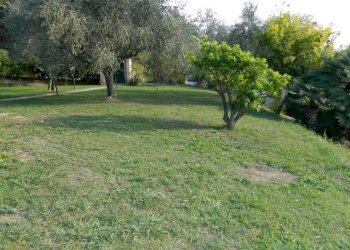DSCN9488.JPG - Villa Sarzana - foto 5