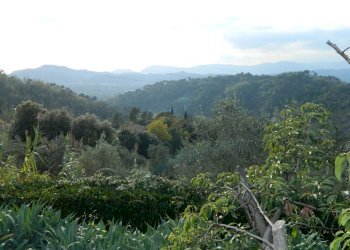 DSCN9489.JPG - Villa Sarzana - foto 6