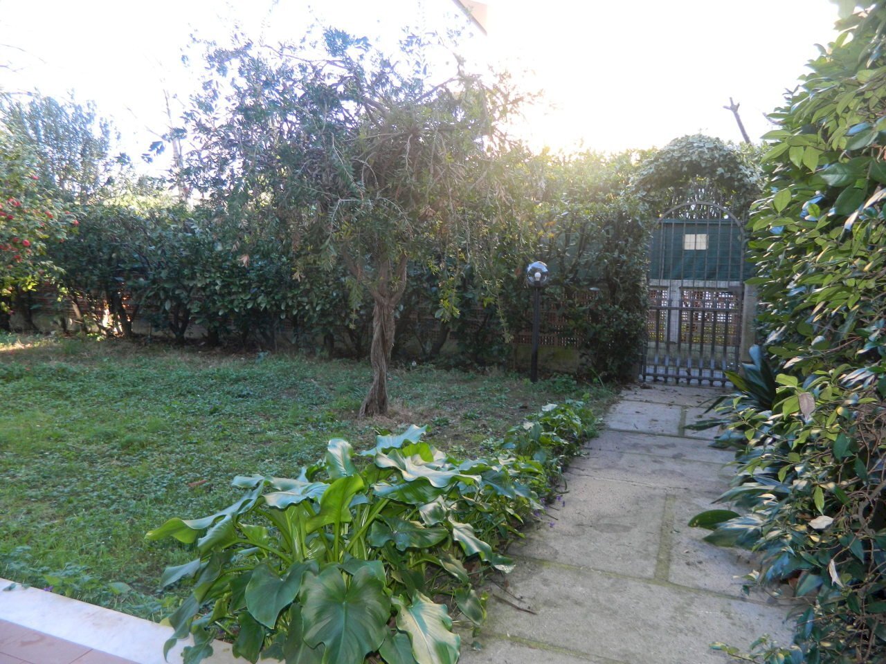 DSCN2665[1].JPG - Appartamento Luni - foto 3