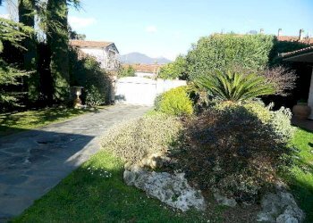 DSCN5077.JPG - Villa Forte dei Marmi - foto 3