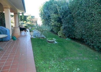 DSCN5086.JPG - Villa Forte dei Marmi - foto 12