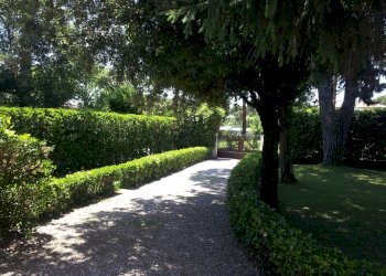3.jpg - Villa Forte dei Marmi - foto 4