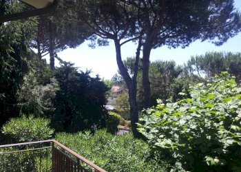 6.jpg - Villa Forte dei Marmi - foto 7