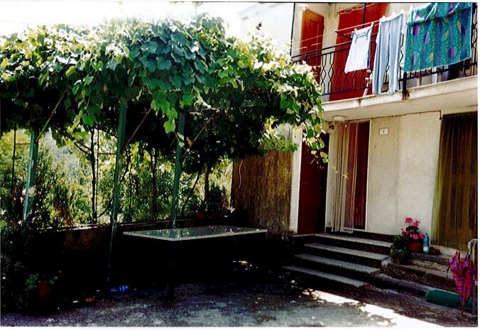 tr1.JPG - Appartamento Tresana - foto 1