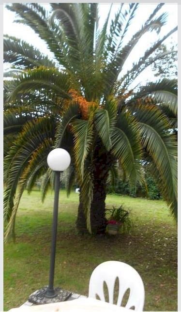 ca6.JPG - Stable - Palace Carrara - photo 2