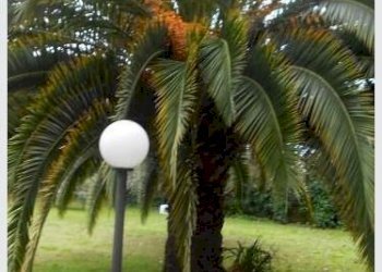 ca6.JPG - Stabile - Palazzo Carrara - foto 2