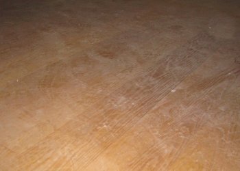 1Â°P parquet.JPG - Appartamento Carrara - foto 25