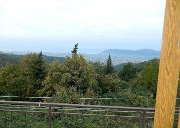 DSCN3975.JPG - Appartamento Castelnuovo Magra - foto 6