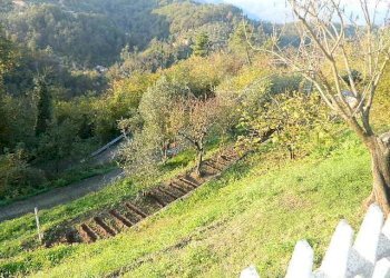 DSCN3944.JPG - Casa indipendente Vezzano Ligure - foto 23