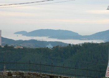 DSCN3623.JPG - Terratetto - Terracielo Vezzano Ligure - foto 17